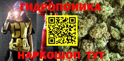 шишки Кулебаки