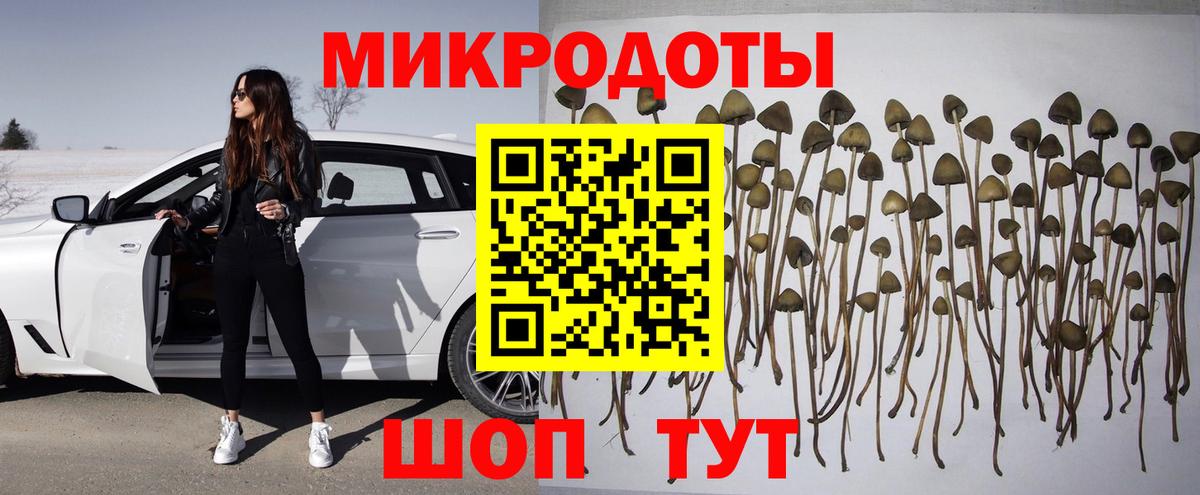 Псилоцибиновые грибы мухоморы Елабуга